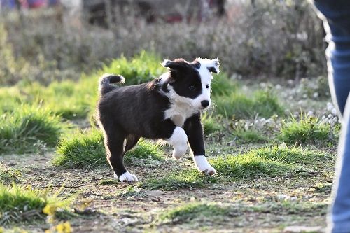 des Crocs de Provence - Des nouvelles de Oppy