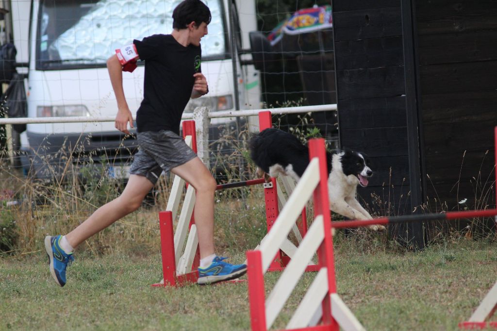 des Crocs de Provence - Brevet d'agility pour Zia