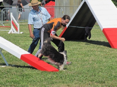 des Crocs de Provence - Concours d'agility de Fos