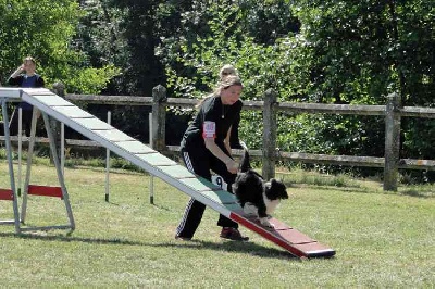 des Crocs de Provence - Concours d'agility de Monaco