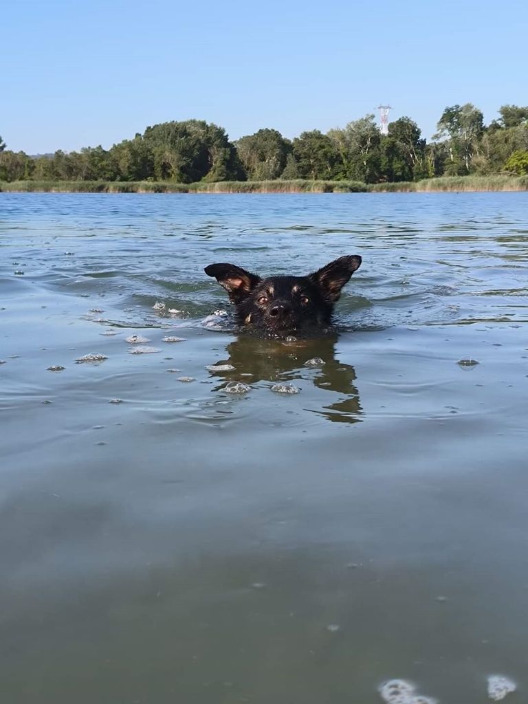 des Crocs de Provence - Des nouvelles de Sao