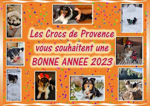 des Crocs de Provence - Bonne Année