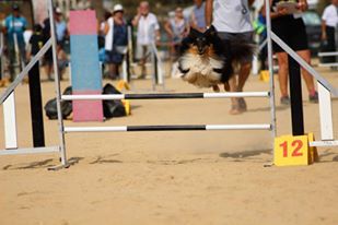 des Crocs de Provence - Nationale 2018