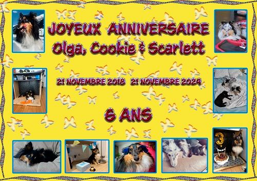 des Crocs de Provence - Joyeux Anniversaire