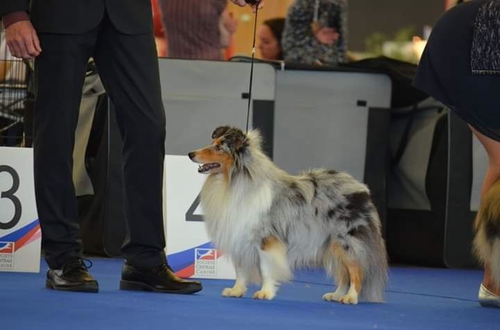 des Crocs de Provence - Championnat de France  