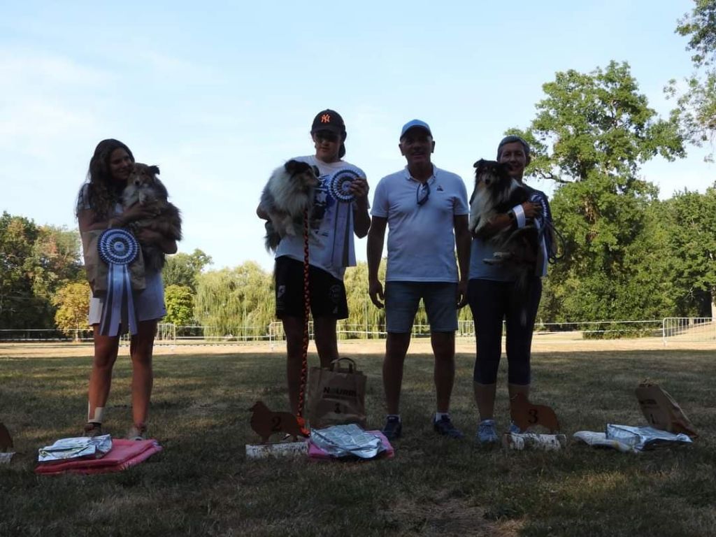 des Crocs de Provence - Championnat de France des Bergers des Shetland 2022