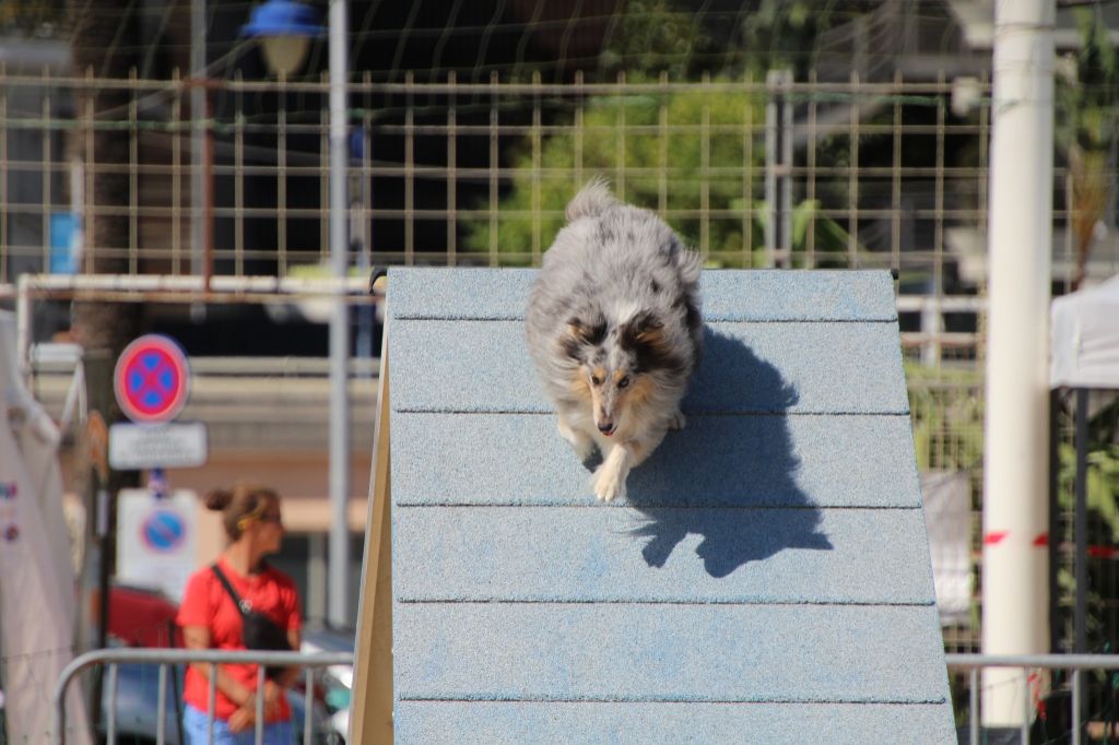 des Crocs de Provence - June