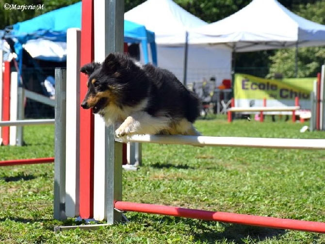 des Crocs de Provence - Finale du Grand Prix de France