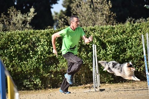 des Crocs de Provence - Concours d'agility d'Arles