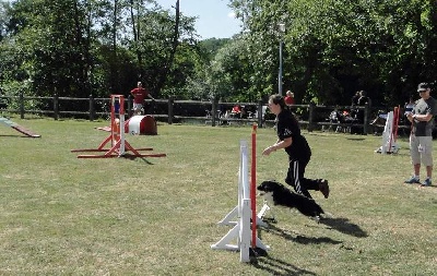 des Crocs de Provence - Concours d'agility de Hyères