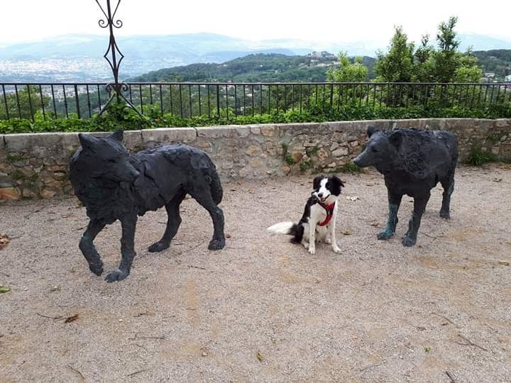 des Crocs de Provence - Des nouvelles de Naïa