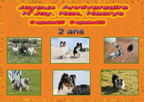 des Crocs de Provence - Joyeux Anniversaire