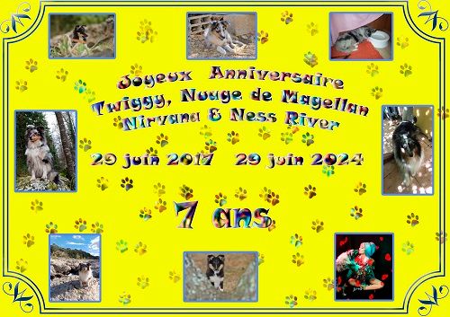 des Crocs de Provence - Joyeux Anniversaire