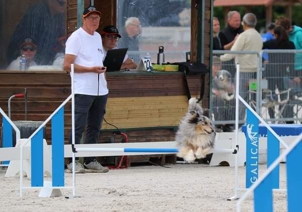 des Crocs de Provence - June au Championnat de France d'agility 2023