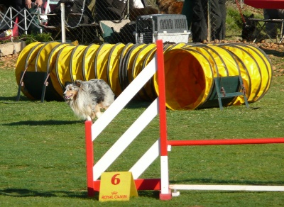 des Crocs de Provence - Van Gogh au Sélectif du Grand Prix de France 2012