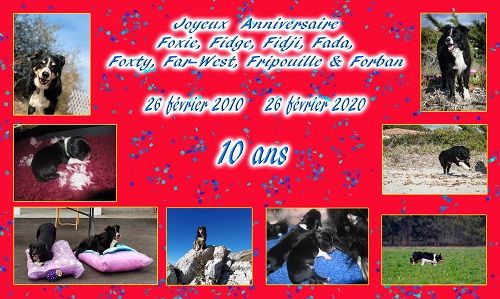 des Crocs de Provence - Joyeux Anniversaire