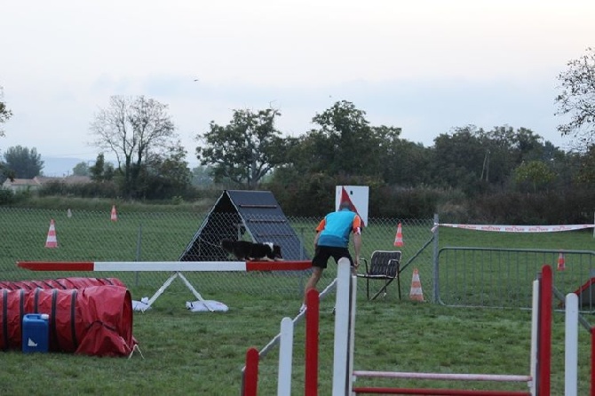 des Crocs de Provence - Concours d'agility de Manosque