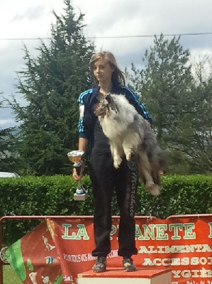 des Crocs de Provence - Concours d'agility de Belleville