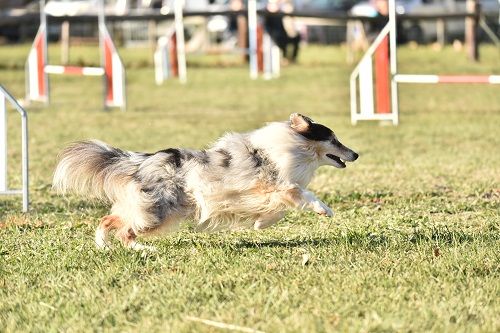 des Crocs de Provence - Légolas au sélectif de la WAC