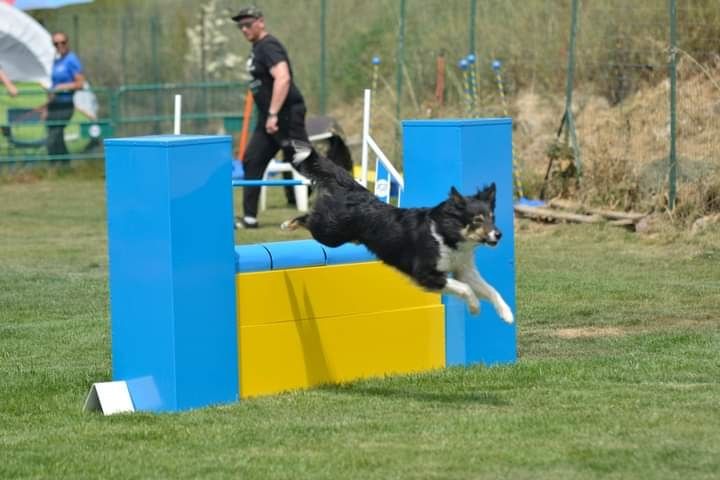 des Crocs de Provence - Nausicaa 3ème au Championnat de France