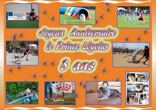 des Crocs de Provence - Joyeux Anniversaire