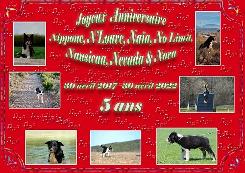 des Crocs de Provence - Joyeux Anniversaire