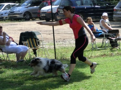 des Crocs de Provence - 1er concours d'agility pour Mellow