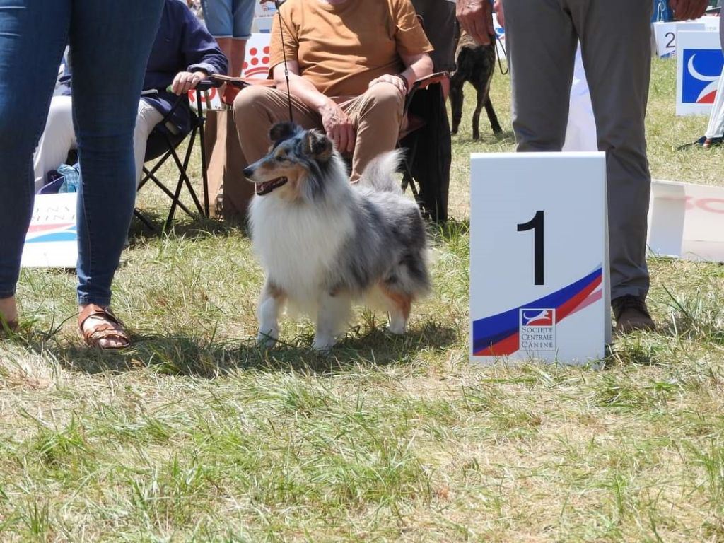 des Crocs de Provence - Légolas Champion de France Vétéran