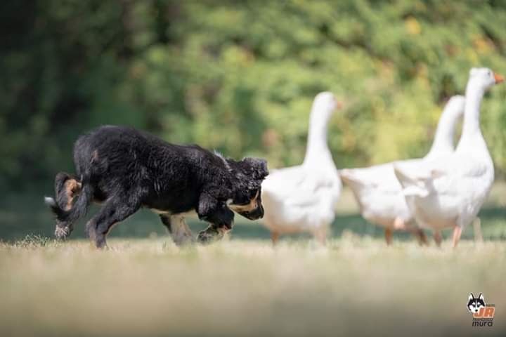 des Crocs de Provence - Des nouvelles de Reflex