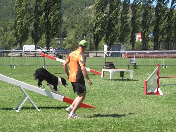 des Crocs de Provence - Concours d'agility de Marignane