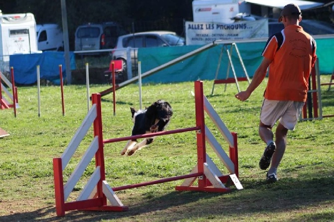 des Crocs de Provence - Concours d'agility des Cadéou