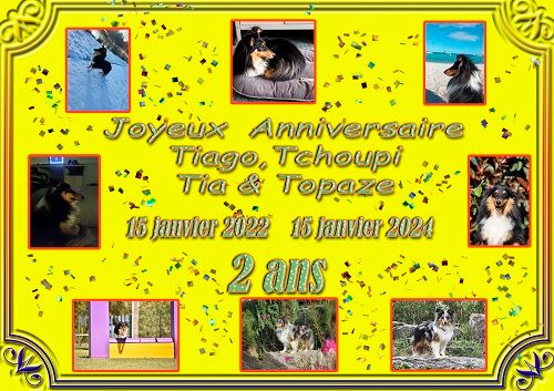 des Crocs de Provence - Joyeux Anniversaire