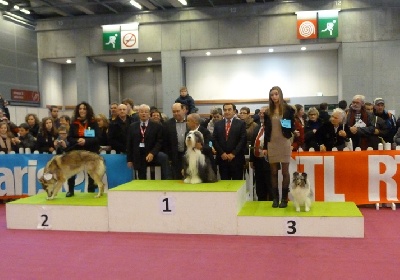 des Crocs de Provence - 3ème du groupe des Bergers au Salon de l'agriculture