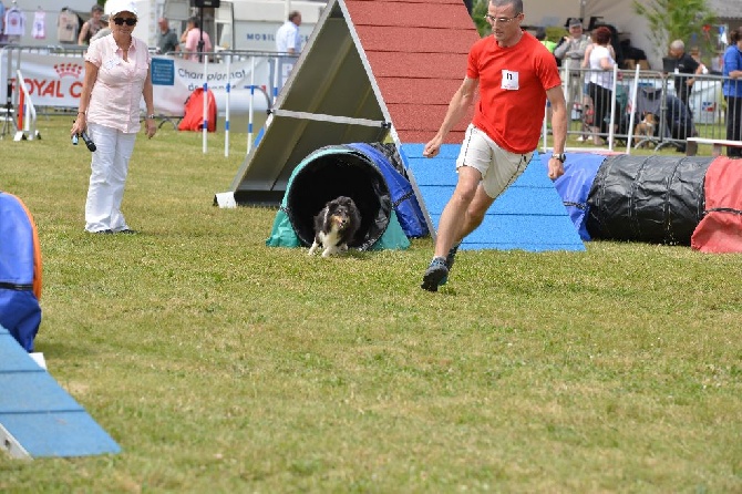 des Crocs de Provence - Championnat de France d'agility