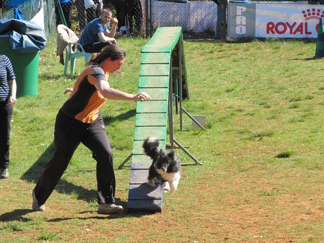 des Crocs de Provence - Cheyenne qualifiée pour le Grand Prix de France d'agility