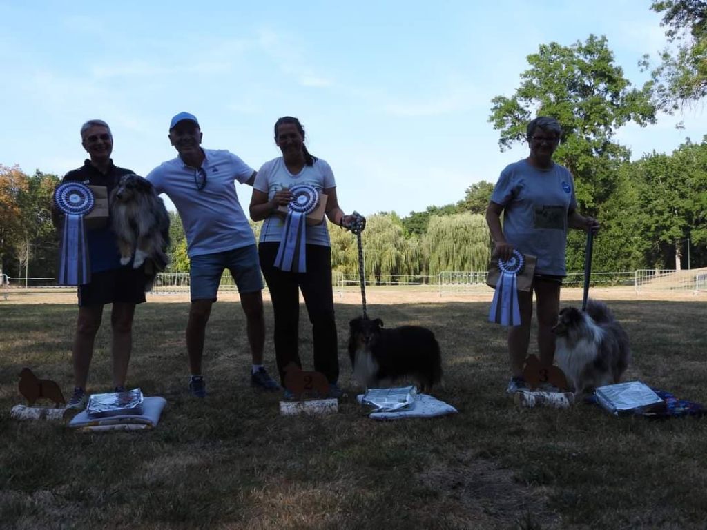 des Crocs de Provence - N'Joy Magic Bleu Champion de France d'agility à la NE 2022