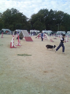 des Crocs de Provence - Sélectif du Grand Prix de France d'agility