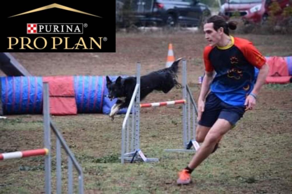 des Crocs de Provence - On qualifiée pour la finale du Grand Prix de France d'agility