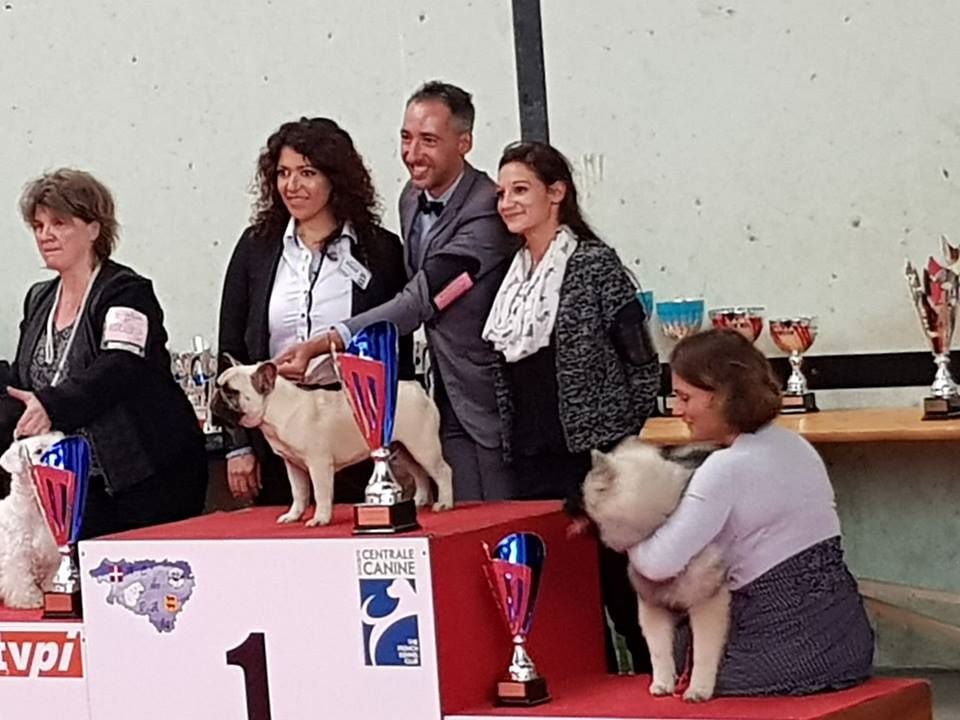 du Chevalier Gascon - BEST IN SHOW POUR NICO !!!!!