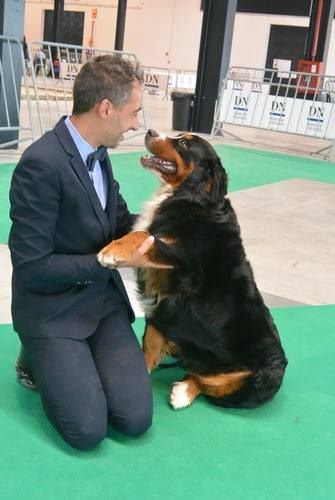 du Chevalier Gascon - Aprés l'Effort le Réconfort.......