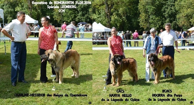 Spéciale de race à Romorantin-Lanthenay