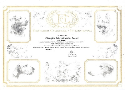 des Lutins de Charvinat - Titre de Championne Internationale de Beauté