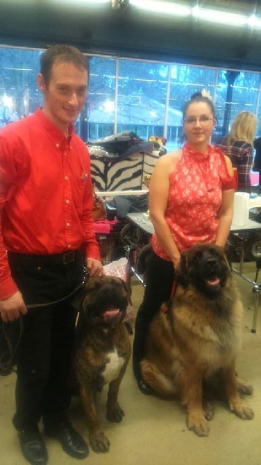 Paris Dog Show 2015 - Attente pour le ring d'honneur