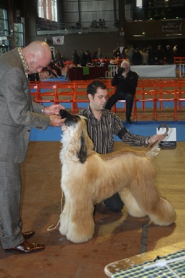 Alishan's - Nantes 2011"farouk","Shania"&"Georgio"