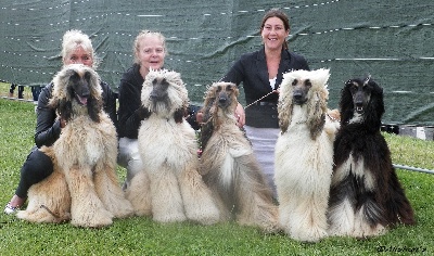 Alishan's - Dieppe 2012 Les premiers pas de "Grey" et "Ghenzo"........