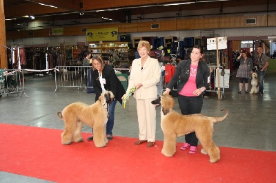 Alishan's - "Shania" et " Farouk" Amiens 2011 Spéciale Falapa