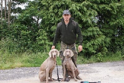 Bretoña 13 & 14 June , cours pour dresser des chiens 