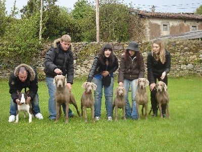 Family weim & Friends in Oviedo 