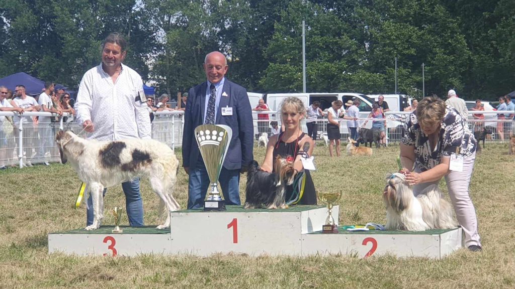 du Mas des Anges - CACS Jarnac juillet 2023