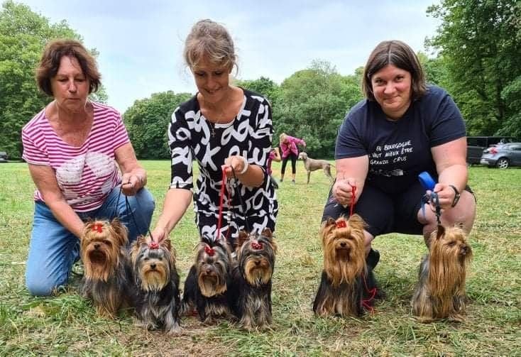 du Mas des Anges - CACS et CACIB Dijon 19 et 20 Juin 2021